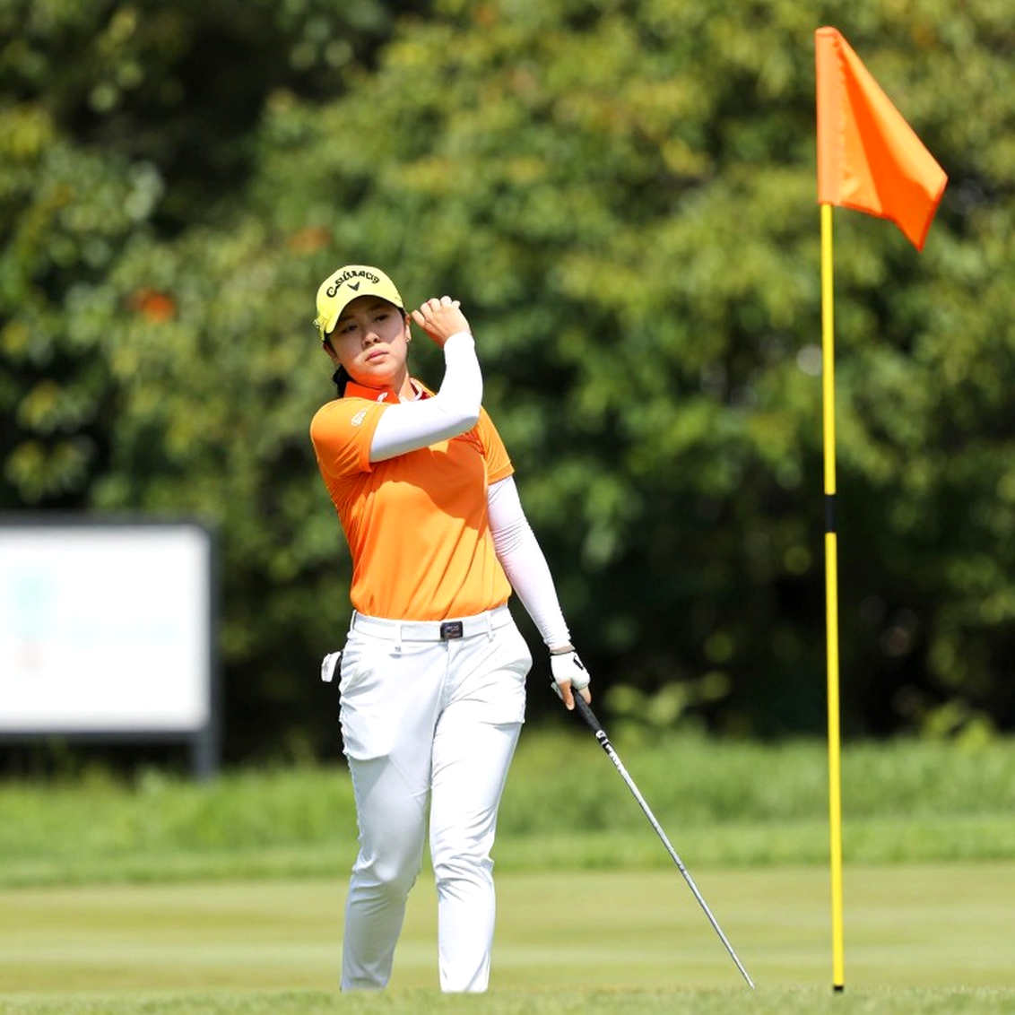 Hai lỗi trước một cú đánh: Luật golf phạt hai gậy, và vì sao điều đó hợp lý hơn bạn tưởng