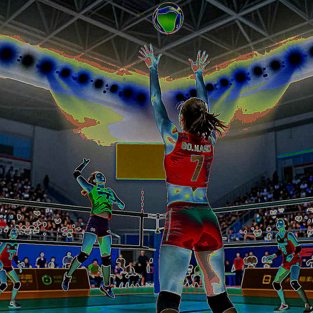 Ba mươi năm MOP bóng chuyền nữ NCAA: Bản đồ vị trí ẩn sau danh sách nhà vô địch